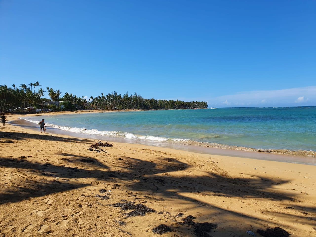 Bacardi island Samana Las Terrenas en whale watching vip - Dominicanmaps