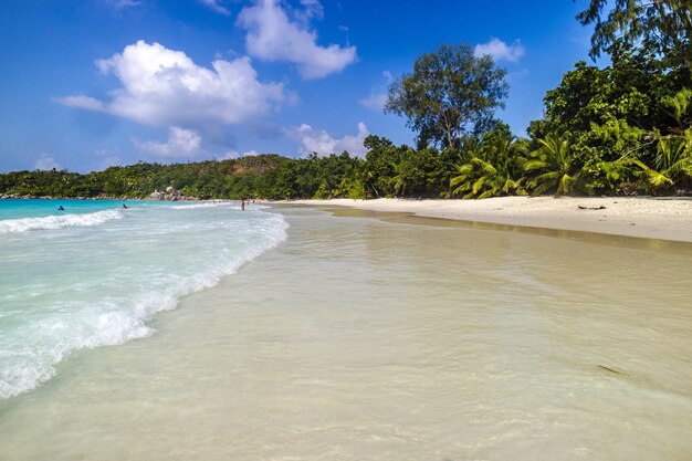 playa-rodeada-mar-vegetacion-luz-sol-cielo-azul-praslin-seychelles_181624-19399